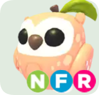 Peach Owl ▪️NFR🚀Legendary🚀Pets⚡24/7 Online🚀