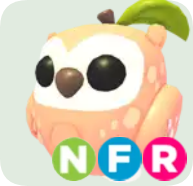 Peach Owl ▪️NFR🚀Legendary🚀Pets⚡24/7 Online🚀