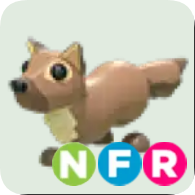 Pine Marten ▪️NFR🚀Ultra-Rare🚀Pets⚡24/7 Online🚀