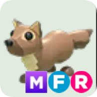 Pine Marten ▪️MFR🚀Ultra-Rare🚀Pets⚡24/7 Online🚀