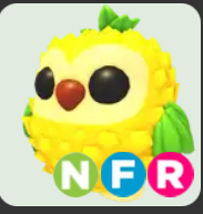 Pineapple Owl ▪️NFR🚀Legendary🚀Pets⚡24/7 Online🚀