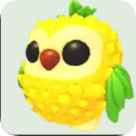 Pineapple Owl ▪️Common🚀Legendary🚀Pets⚡24/7 Online🚀