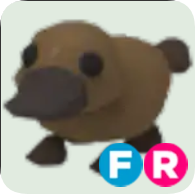 Platypus ▪️FR🚀Ultra-Rare🚀Pets⚡24/7 Online🚀