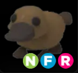 Platypus ▪️NFR🚀Ultra-Rare🚀Pets⚡24/7 Online🚀