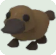 Platypus ▪️Common🚀Ultra-Rare🚀Pets⚡24/7 Online🚀