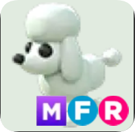Poodle ▪️MFR🚀Uncommon🚀Pets⚡24/7 Online🚀