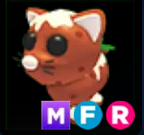 Pudding Cat ▪️MFR🚀Rare🚀Pets⚡24/7 Online🚀