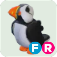 Puffin ▪️FR🚀Ultra-Rare🚀Pets⚡24/7 Online🚀