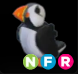 Puffin ▪️NFR🚀Ultra-Rare🚀Pets⚡24/7 Online🚀
