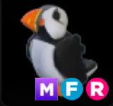 Puffin ▪️MFR🚀Ultra-Rare🚀Pets⚡24/7 Online🚀