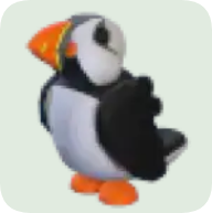 Puffin ▪️Common🚀Ultra-Rare🚀Pets⚡24/7 Online🚀