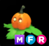 Pumpkin Friend ▪️MFR🚀Ultra-Rare🚀Pets⚡24/7 Online🚀