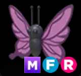 Purple Butterfly ▪️MFR🚀Ultra-Rare🚀Pets⚡24/7 Online🚀