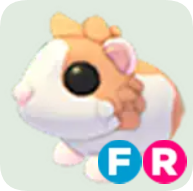 Red Dutch Guinea Pig ▪️FR🚀Legendary🚀Pets⚡24/7 Online🚀