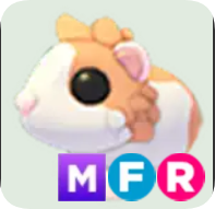 Red Dutch Guinea Pig ▪️MFR🚀Legendary🚀Pets⚡24/7 Online🚀