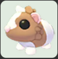 Chocolate Dutch Guinea Pig ▪️Common🐸Ultra-Rare🚀Pets⚡24/7 Online🚀