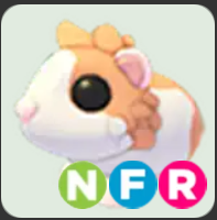 Red Dutch Guinea Pig ▪️NFR🐸Legendary🚀Pets⚡24/7 Online🚀