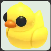 Rubber Ducky ▪️Common🐸Common🚀Pets⚡24/7 Online🚀