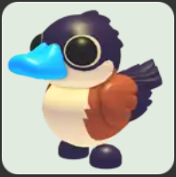 Ruddy Duck ▪️Common🚀Rare🚀Pets⚡24/7 Online🚀