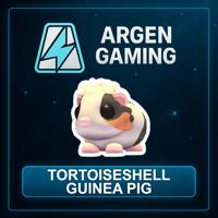 Adopt Me Tortoiseshell Guinea Pig