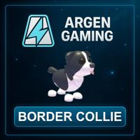 Adopt Me Border Collie