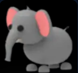 Elephant ▪️Common🐸Rare🚀Pets⚡24/7 Online🚀