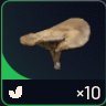 MUSHROOM | Fast Delivery