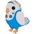 🎯 F Parakeet - Junior 🎯