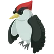 🎯 F Woodpecker - Pre Teen 🎯