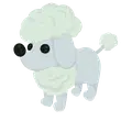 🎯 NFR Poodle - Twinkle 🎯