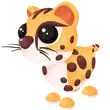 🎯 NR Cheetah - Twinkle 🎯