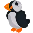 🎯 R Puffin - Teen 🎯