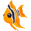 🎯 R Angelfish - Newborn 🎯