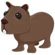 🎯 NR Capybara - Sunshine 🎯
