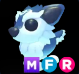 Shiver Wolf ▪️MFR🐸Rare🚀Pets⚡24/7 Online🚀