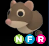 Shrew ▪️NFR🐸Rare🚀Pets⚡24/7 Online🚀