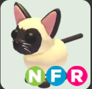 Siamese Cat ▪️NFR🐸Ultra-Rare🚀Pets⚡24/7 Online🚀