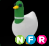 Silly Duck ▪️NFR🐸Uncommon🚀Pets⚡24/7 Online🚀