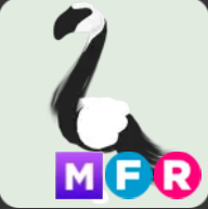 Slimingo ▪️MFR🐸Legendary🚀Pets⚡24/7 Online🚀