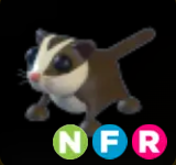 Sugar Glider ▪️NFR🐸Legendary🚀Pets⚡24/7 Online🚀