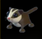 Sugar Glider ▪️Common🐸Legendary🚀Pets⚡24/7 Online🚀