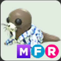 Summer Walrus ▪️MFR🐸Rare🚀Pets⚡24/7 Online🚀