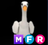 Swan ▪️MFR🐸Rare🚀Pets⚡24/7 Online🚀