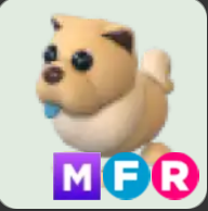 Tan Chow-Chow ▪️MFR🐸Ultra-Rare🚀Pets⚡24/7 Online🚀