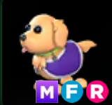 Therapy Dog ▪️MFR🐸Uncommon🚀Pets⚡24/7 Online🚀