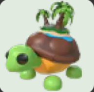 Tortuga de la Isla ▪️Common🐸Ultra-Rare🚀Pets⚡24/7 Online🚀