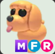 Toy Poodle ▪️MFR🐸Rare🚀Pets⚡24/7 Online🚀