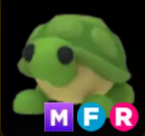 Turtle ▪️MFR🐸Legendary🚀Pets⚡24/7 Online🚀
