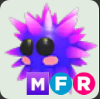 Urchin ▪️MFR🐸Common🚀Pets⚡24/7 Online🚀