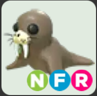 Walrus ▪️NFR🐸Common🚀Pets⚡24/7 Online🚀